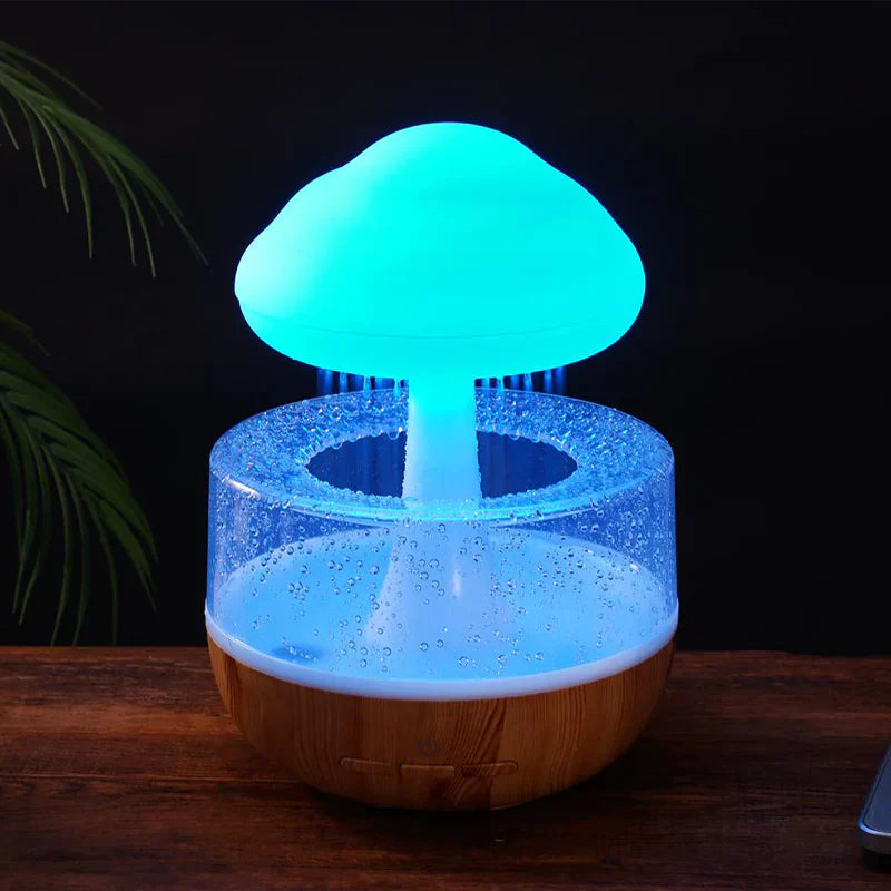 Rain Cloud Humidifier