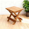 Portable Folding Stool, Chair & Table Multi Purpose Indoor & Outdoor Furniture