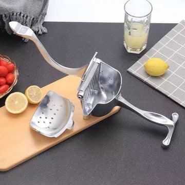 Silver Metal Manual Fruit Press Heavy Duty Single Press Juice Squeezer Large Size