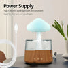 Rain Cloud Humidifier